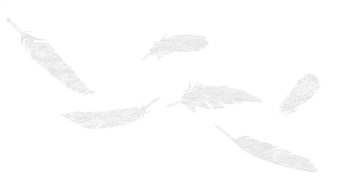 Volare - Fensterdekoration - Gecko in the Box - Vorhang nach Mass