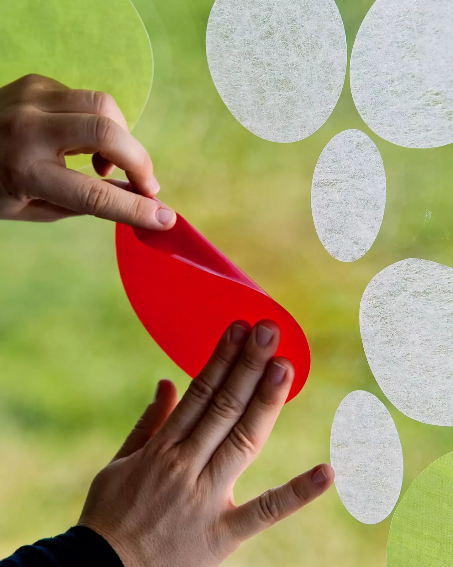 Rotondo - Fensterdekoration - Gecko in the Box - Vorhang nach Mass