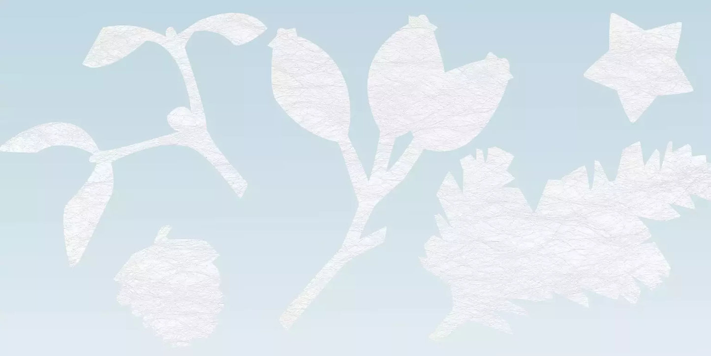 Advent Season - Fensterdekoration - Gecko in the Box - Vorhang nach Mass