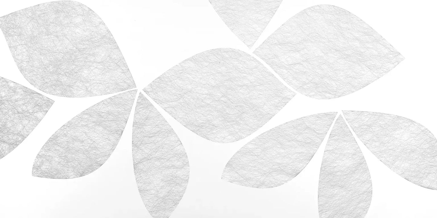 Coleo - Fensterdekoration - Gecko in the Box - Vorhang nach Mass