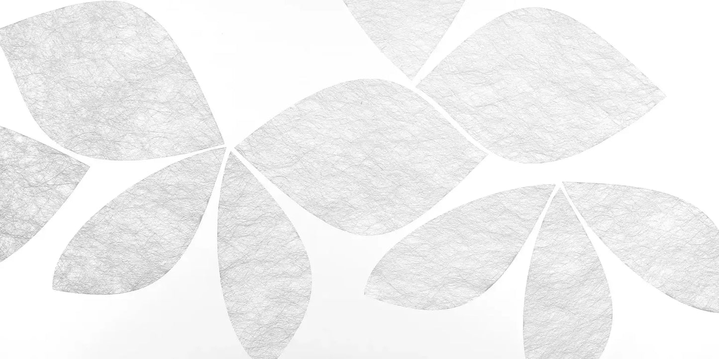 Coleo - Fensterdekoration - Gecko in the Box - Vorhang nach Mass